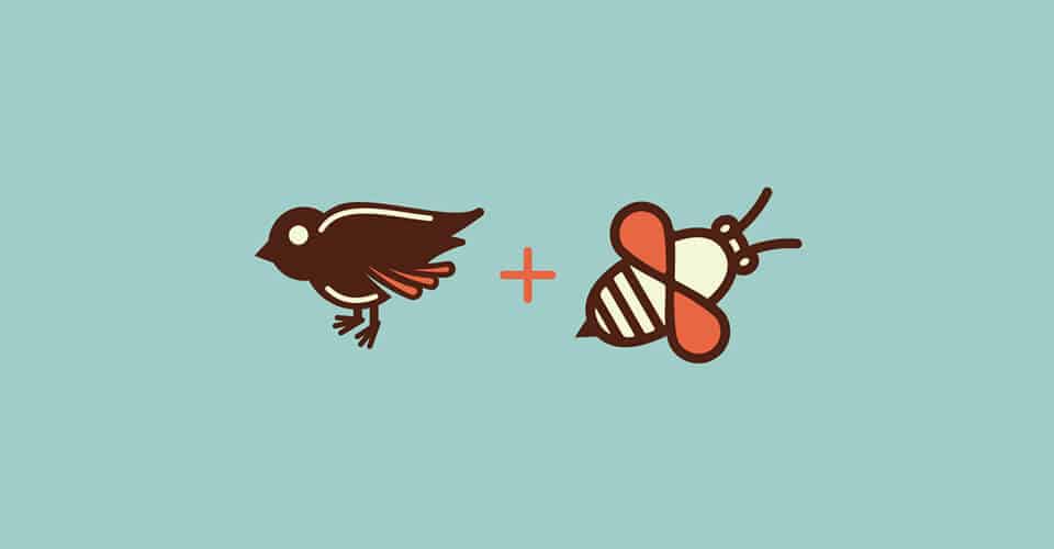 Sex Education - Birds + Bees