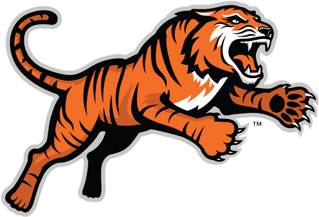 Rochester Institute of Technology Tigers