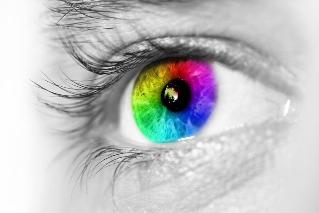 TownVOTE software displays its content on projector screens and smartphone displays, so it’s crucial that every piece of information is able to be easily read and interpreted by everyone, including those with auditory disabilities like color blindness. TownVOTE has been redesigned to include instantly recognizable indicators in the new High Contrast mode.