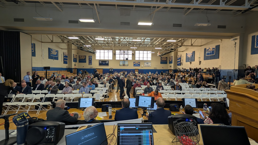 Government Voting